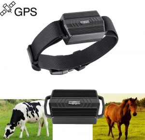 TK935 GPS Tracker Magnet oder Halsband für größere Tiere 3000mAh_05